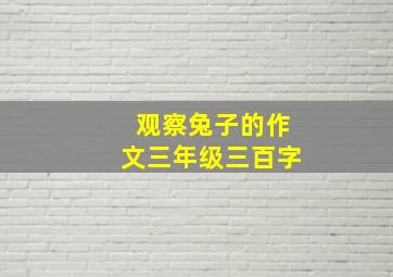 观察兔子的作文三年级三百字