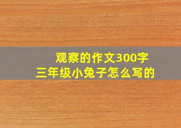 观察的作文300字三年级小兔子怎么写的