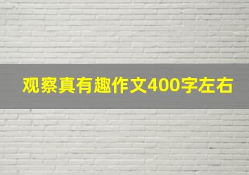 观察真有趣作文400字左右