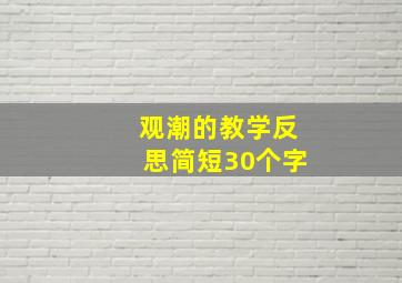 观潮的教学反思简短30个字