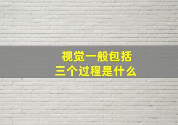 视觉一般包括三个过程是什么