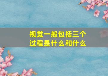 视觉一般包括三个过程是什么和什么