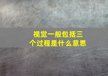 视觉一般包括三个过程是什么意思