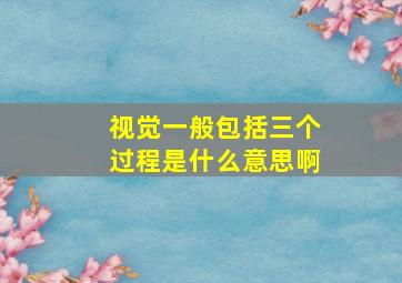 视觉一般包括三个过程是什么意思啊