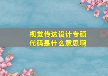 视觉传达设计专硕代码是什么意思啊