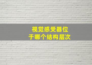 视觉感受器位于哪个结构层次