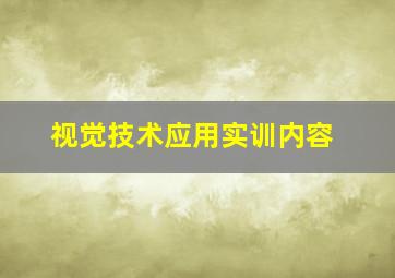 视觉技术应用实训内容