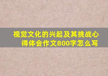 视觉文化的兴起及其挑战心得体会作文800字怎么写