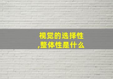 视觉的选择性,整体性是什么