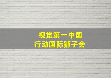 视觉第一中国行动国际狮子会