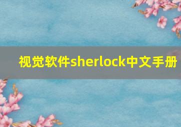 视觉软件sherlock中文手册