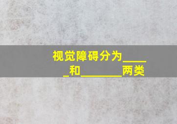 视觉障碍分为_____和_______两类