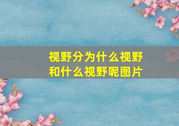 视野分为什么视野和什么视野呢图片