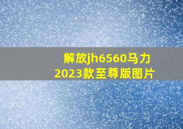 解放jh6560马力2023款至尊版图片