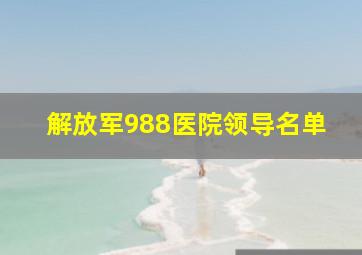 解放军988医院领导名单