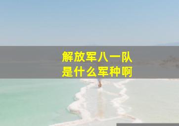 解放军八一队是什么军种啊