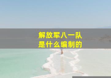 解放军八一队是什么编制的