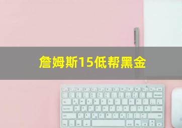 詹姆斯15低帮黑金