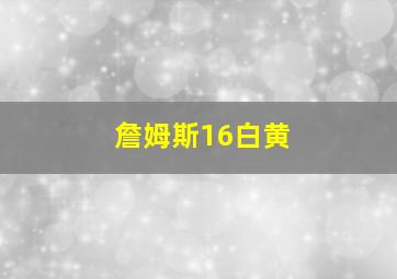 詹姆斯16白黄