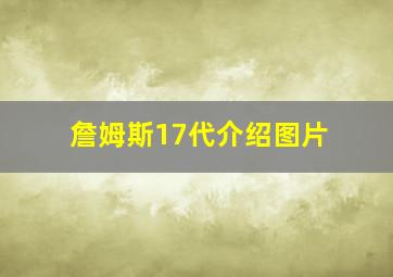 詹姆斯17代介绍图片