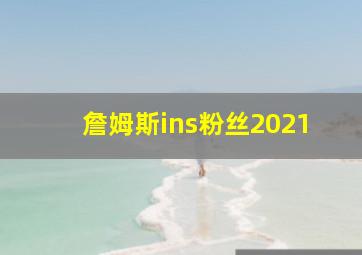 詹姆斯ins粉丝2021