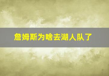 詹姆斯为啥去湖人队了