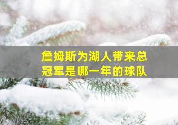 詹姆斯为湖人带来总冠军是哪一年的球队