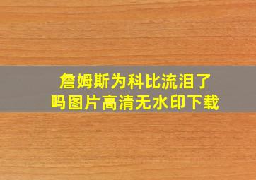 詹姆斯为科比流泪了吗图片高清无水印下载