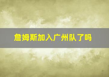 詹姆斯加入广州队了吗