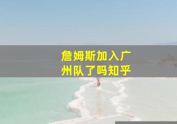 詹姆斯加入广州队了吗知乎