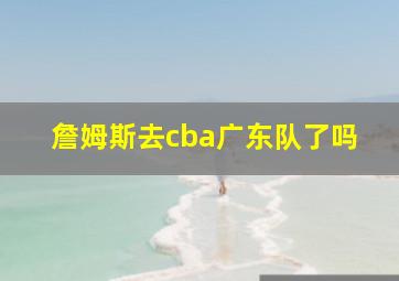 詹姆斯去cba广东队了吗