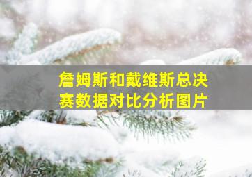 詹姆斯和戴维斯总决赛数据对比分析图片