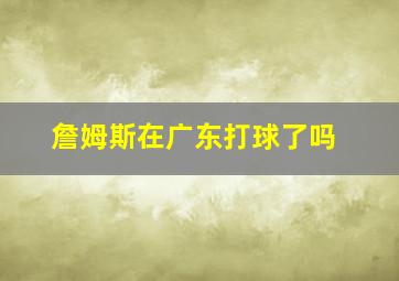 詹姆斯在广东打球了吗