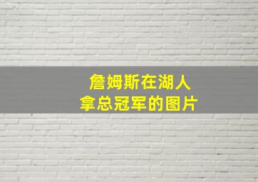 詹姆斯在湖人拿总冠军的图片