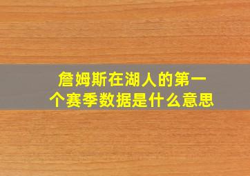 詹姆斯在湖人的第一个赛季数据是什么意思