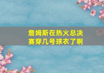 詹姆斯在热火总决赛穿几号球衣了啊