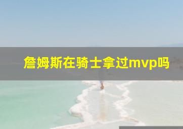 詹姆斯在骑士拿过mvp吗