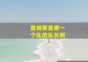 詹姆斯是哪一个队的队长啊