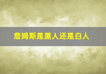 詹姆斯是黑人还是白人