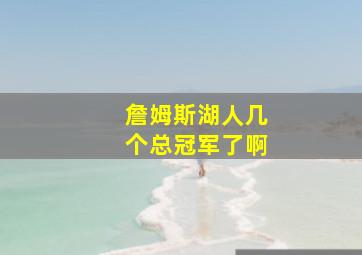 詹姆斯湖人几个总冠军了啊