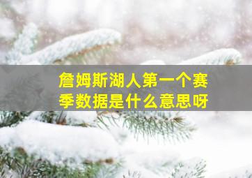 詹姆斯湖人第一个赛季数据是什么意思呀