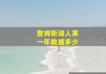 詹姆斯湖人第一年数据多少