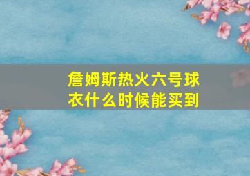 詹姆斯热火六号球衣什么时候能买到