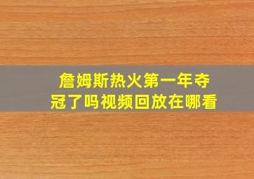 詹姆斯热火第一年夺冠了吗视频回放在哪看