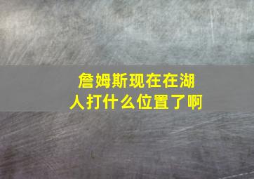 詹姆斯现在在湖人打什么位置了啊