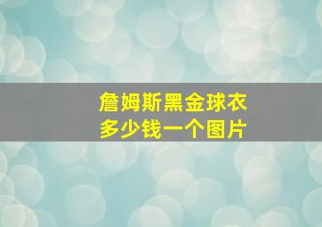 詹姆斯黑金球衣多少钱一个图片