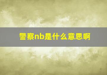 警察nb是什么意思啊