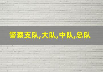 警察支队,大队,中队,总队