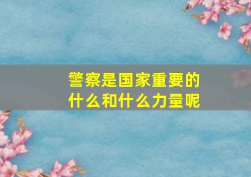 警察是国家重要的什么和什么力量呢