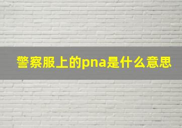 警察服上的pna是什么意思